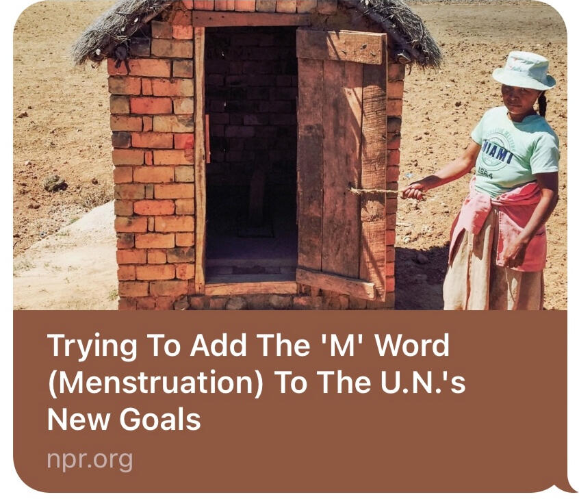NPR reporting from Madagasgar